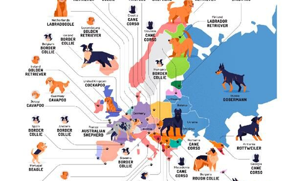 Así es el mapa de las razas de perro más populares en cada país