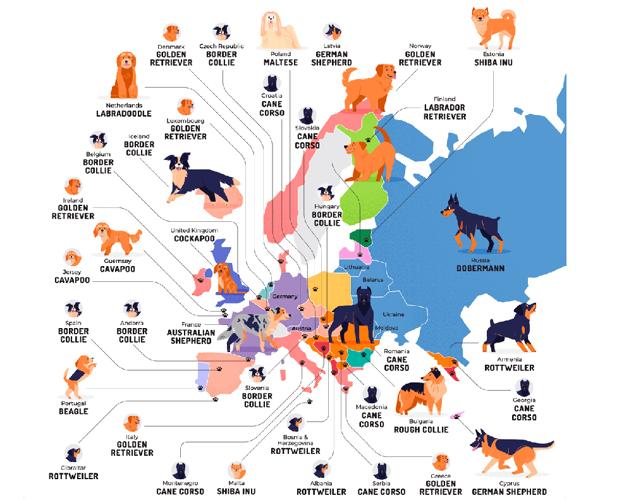 Así es el mapa de las razas de perro más populares en cada país